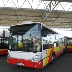 dp white red yellow bus in israel